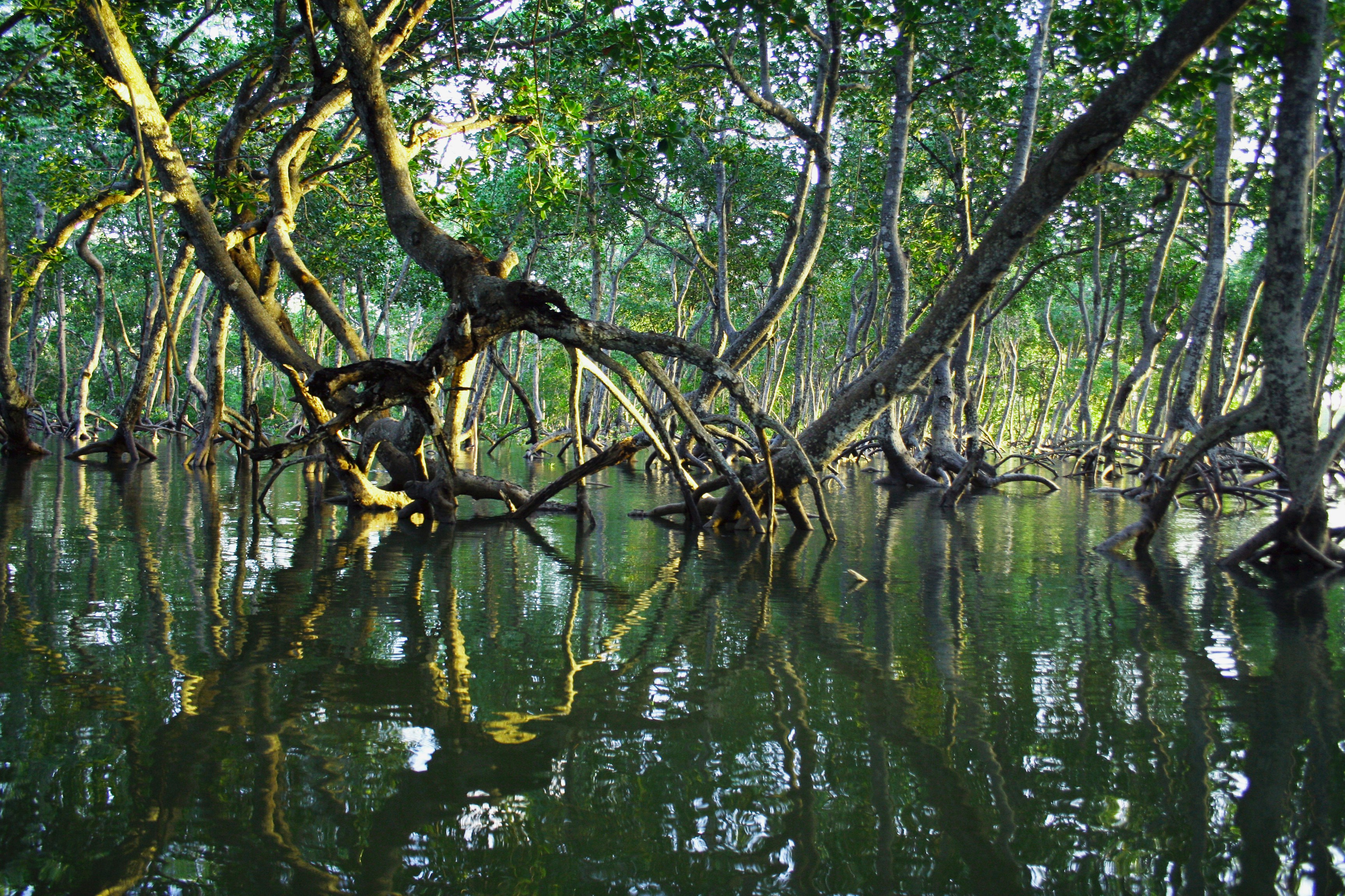 Mida Creek